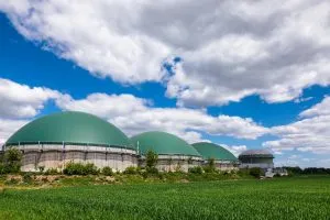 BIOMASS & BIOFUELS<br> 